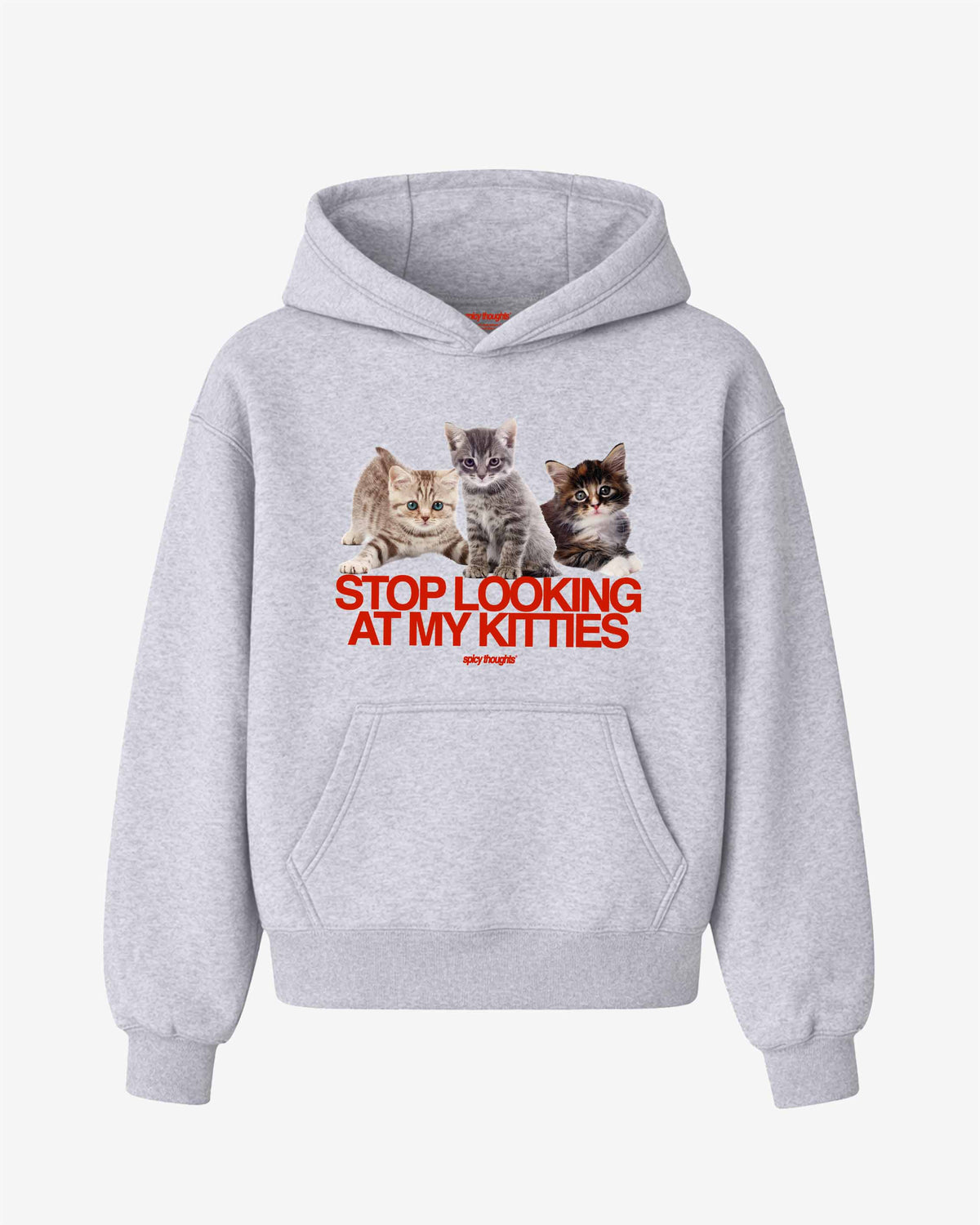Oversized Hoodie - Stop Looking At My Kitties