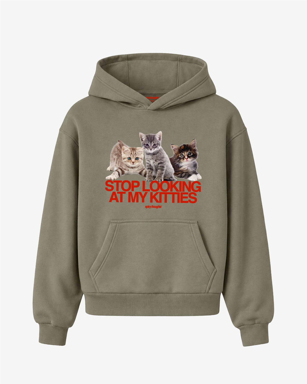 Oversized Hoodie - Stop Looking At My Kitties