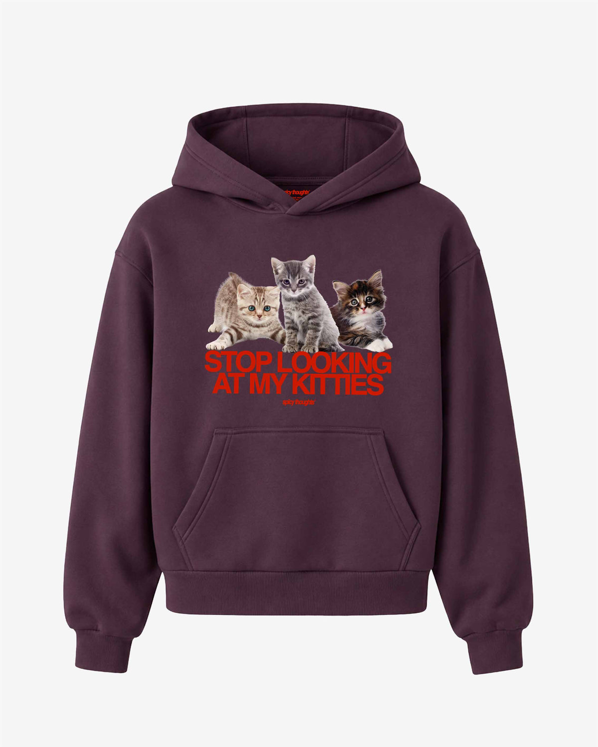Oversized Hoodie - Stop Looking At My Kitties