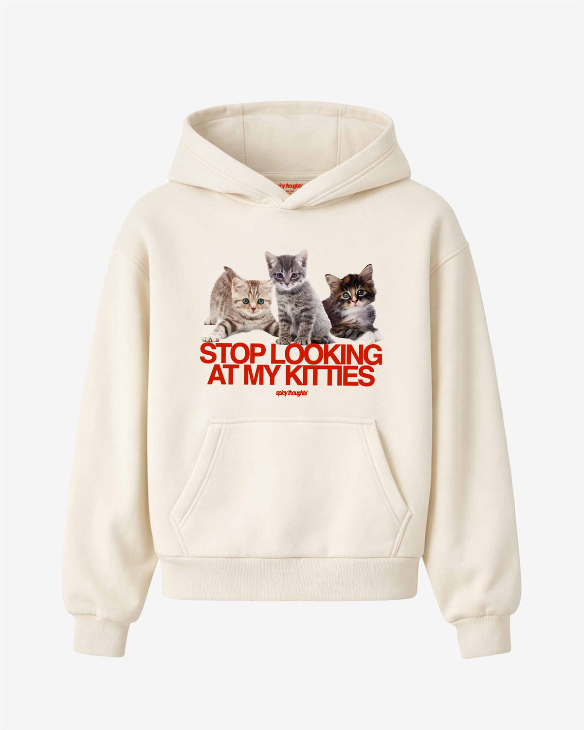 Oversized Hoodie - Stop Looking At My Kitties