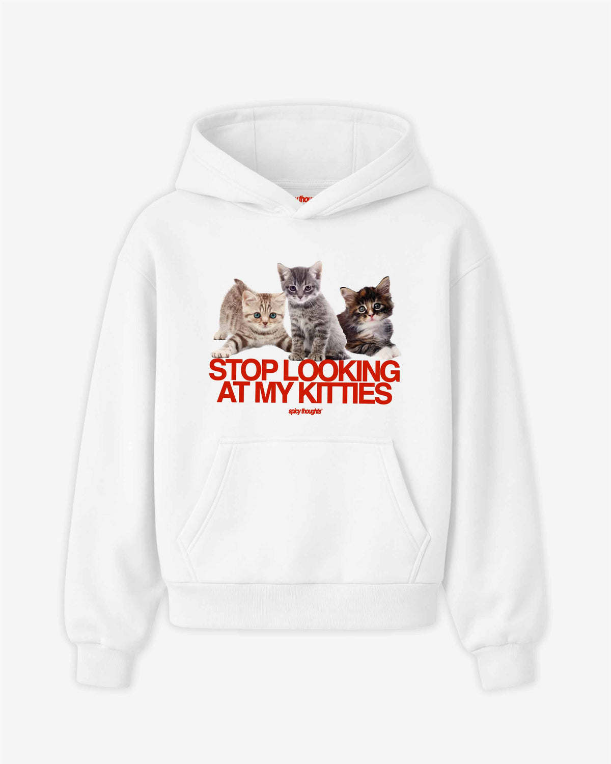 Oversized Hoodie - Stop Looking At My Kitties