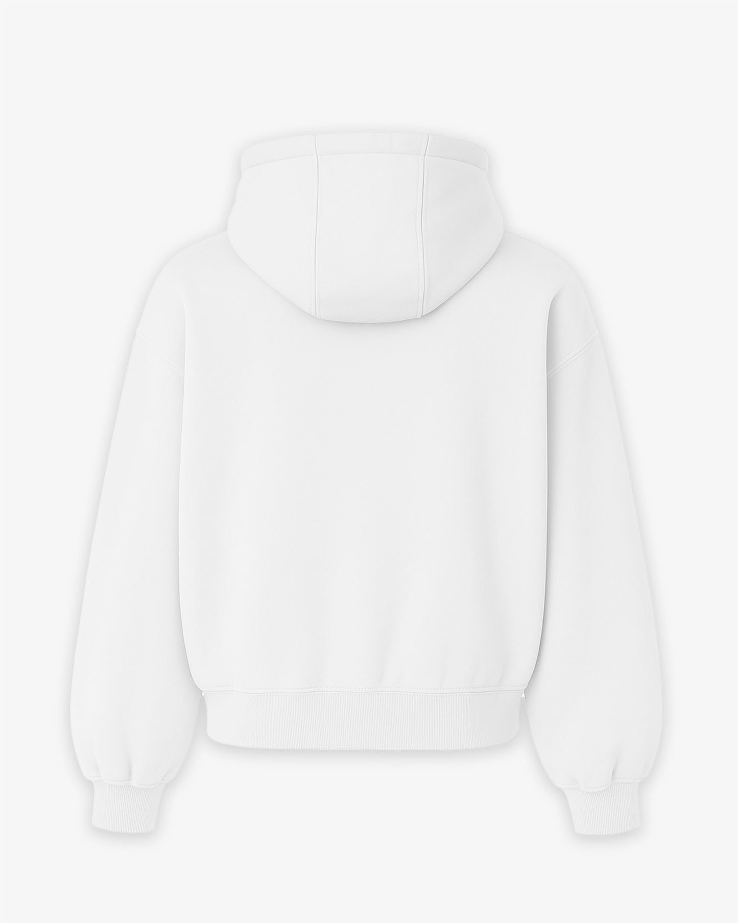 Oversized Hoodie - Small Boobs Big Dreams