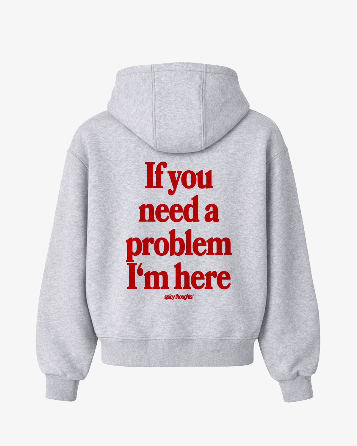 Oversized Hoodie - If you need a problem, I’m here