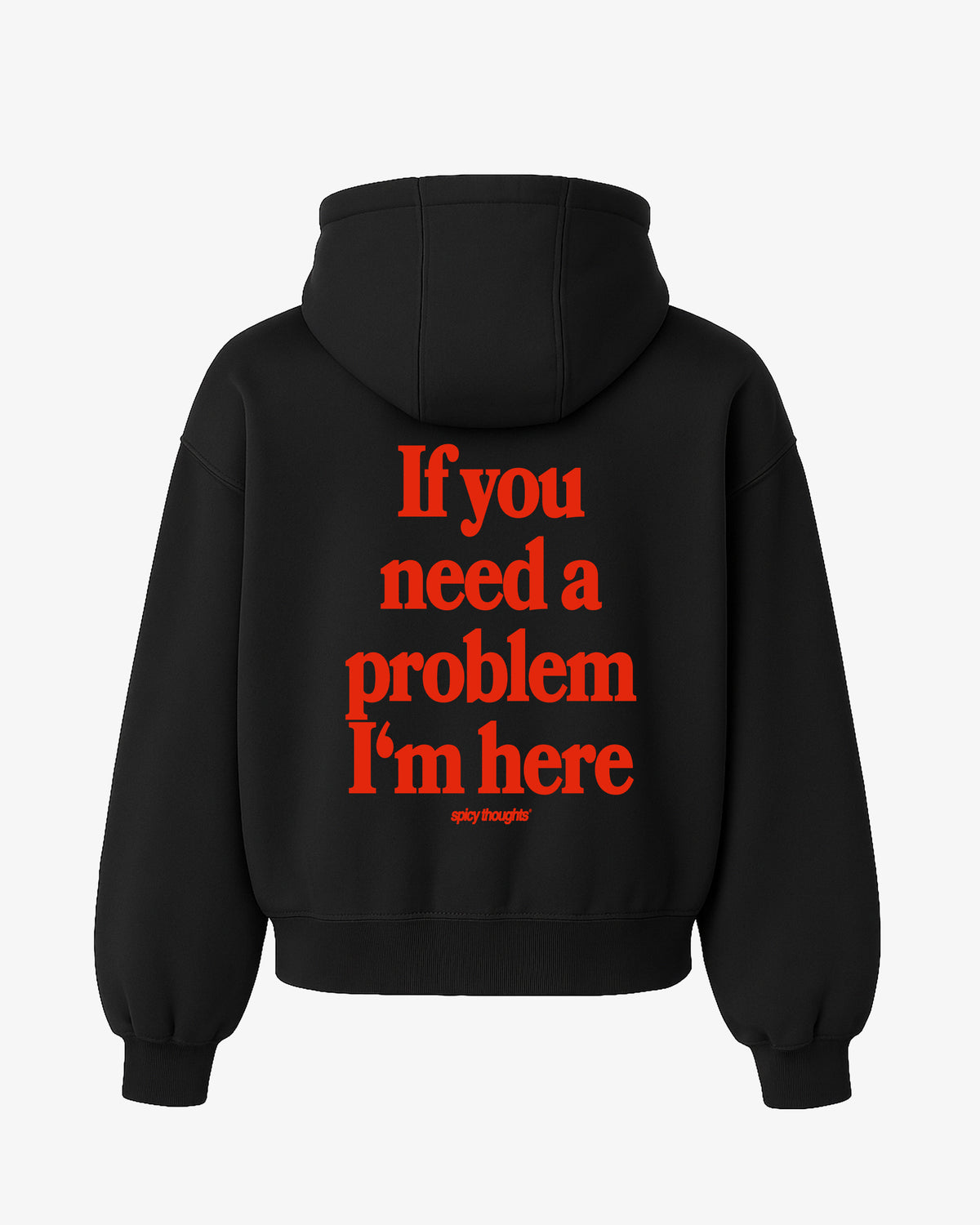 Oversized Hoodie - If you need a problem, I’m here