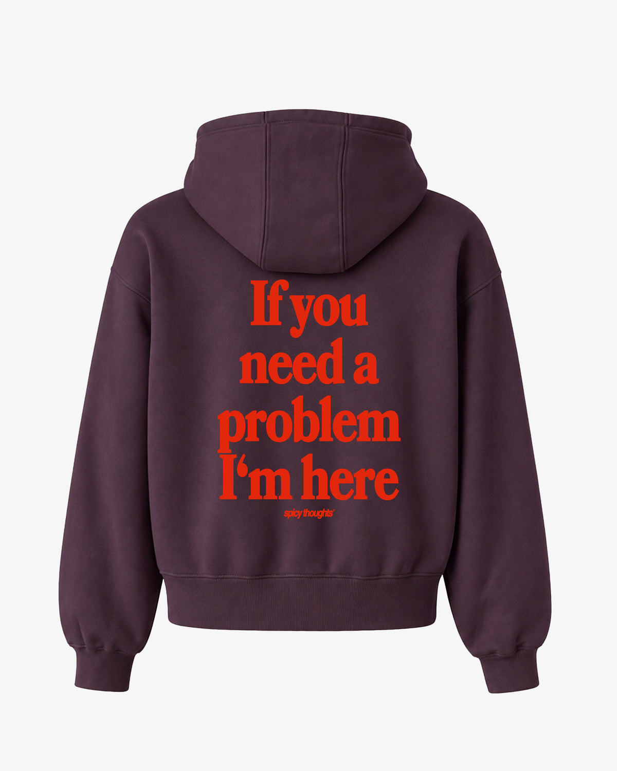 Oversized Hoodie - If you need a problem, I’m here