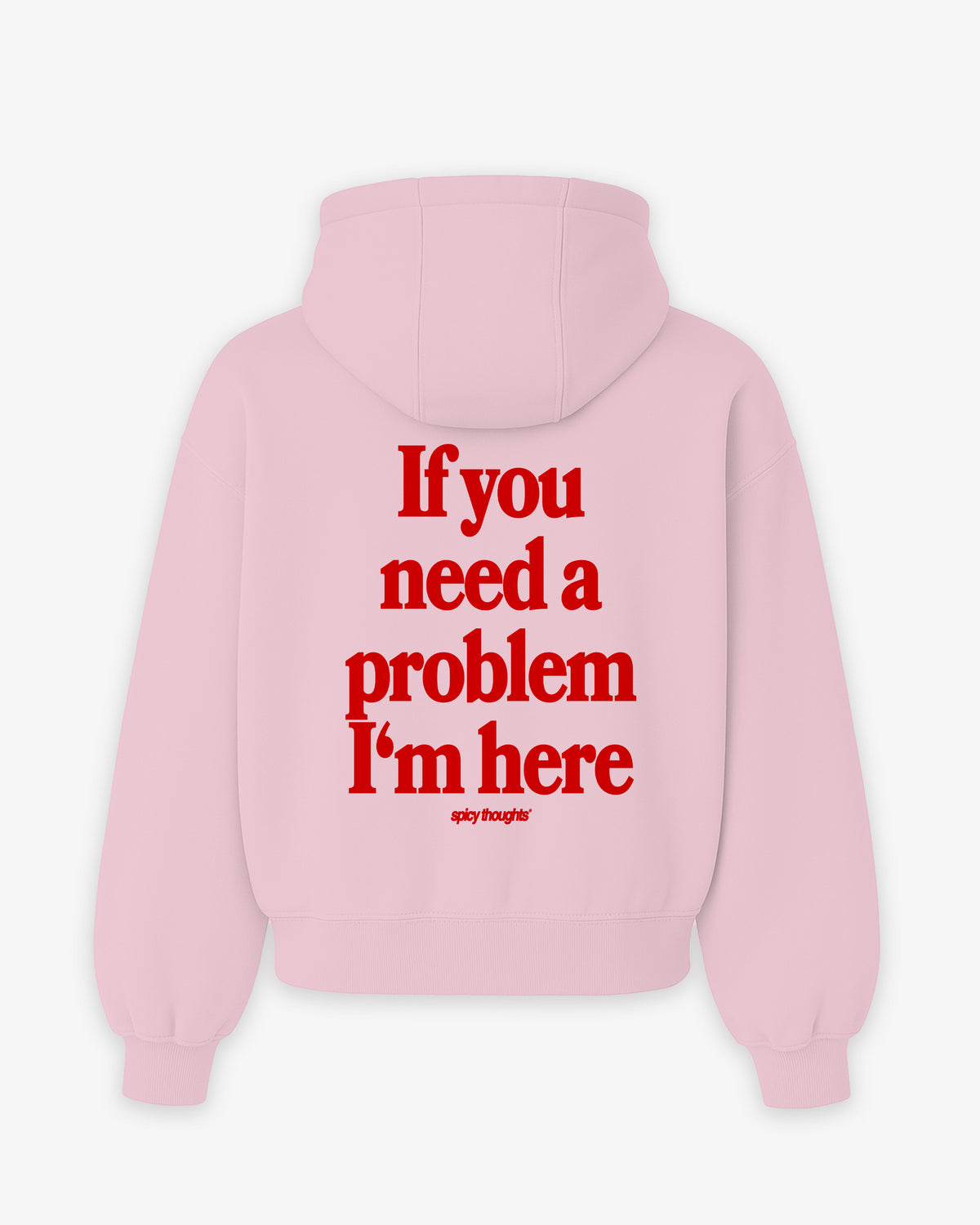 Oversized Hoodie - If you need a problem, I’m here