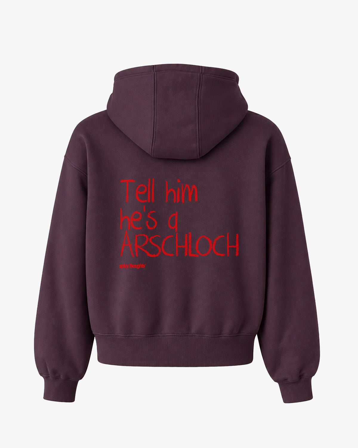 Oversized Hoodie - Tell him he’s an Arschloch