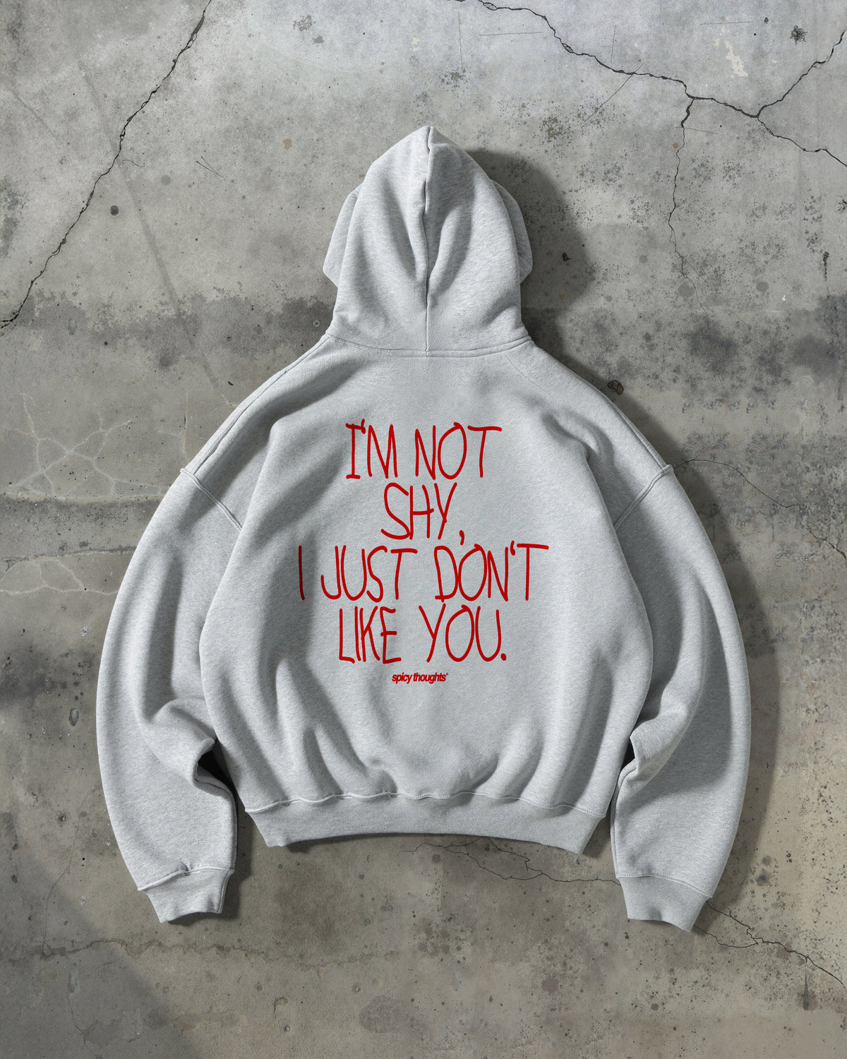 Oversized Hoodie - I’m Not Shy, I Just Don’t Like You Handwritten