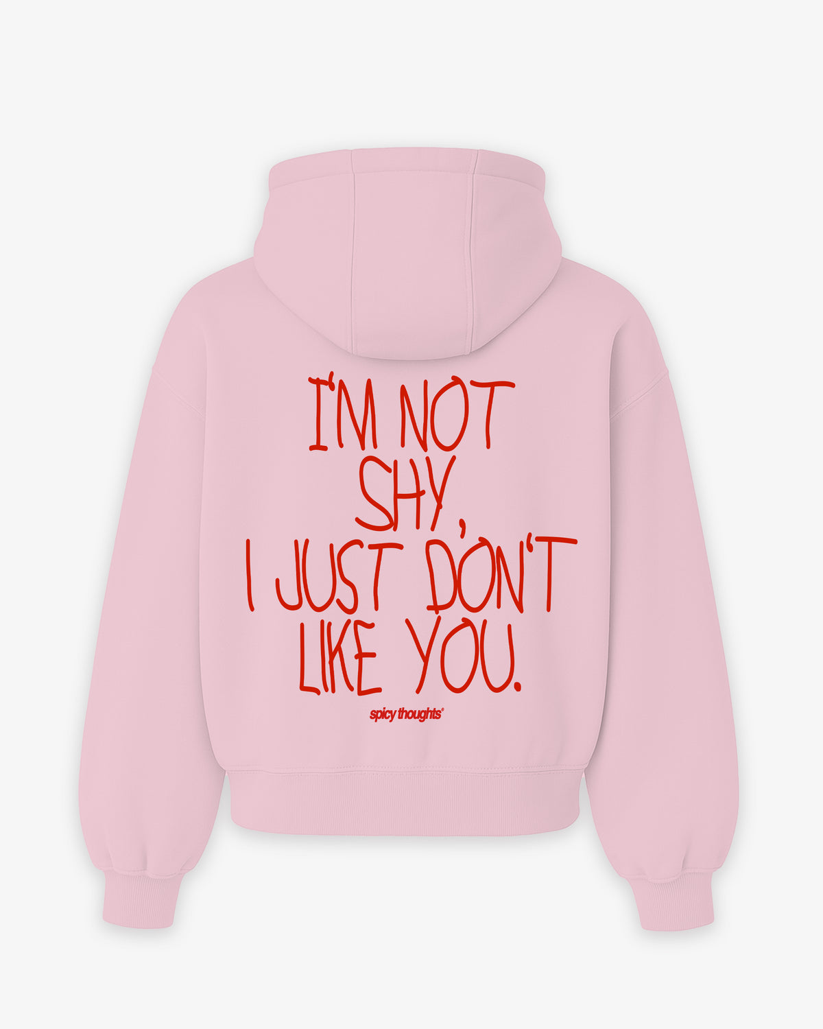 Oversized Hoodie - I’m Not Shy, I Just Don’t Like You Handwritten