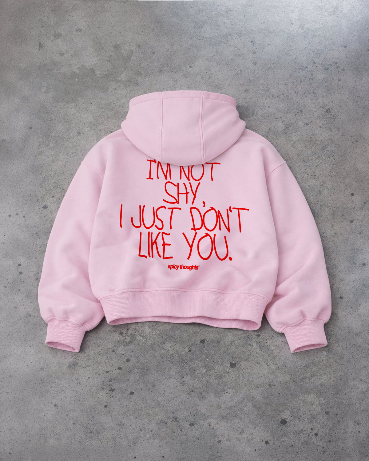 Oversized Hoodie - I’m Not Shy, I Just Don’t Like You Handwritten