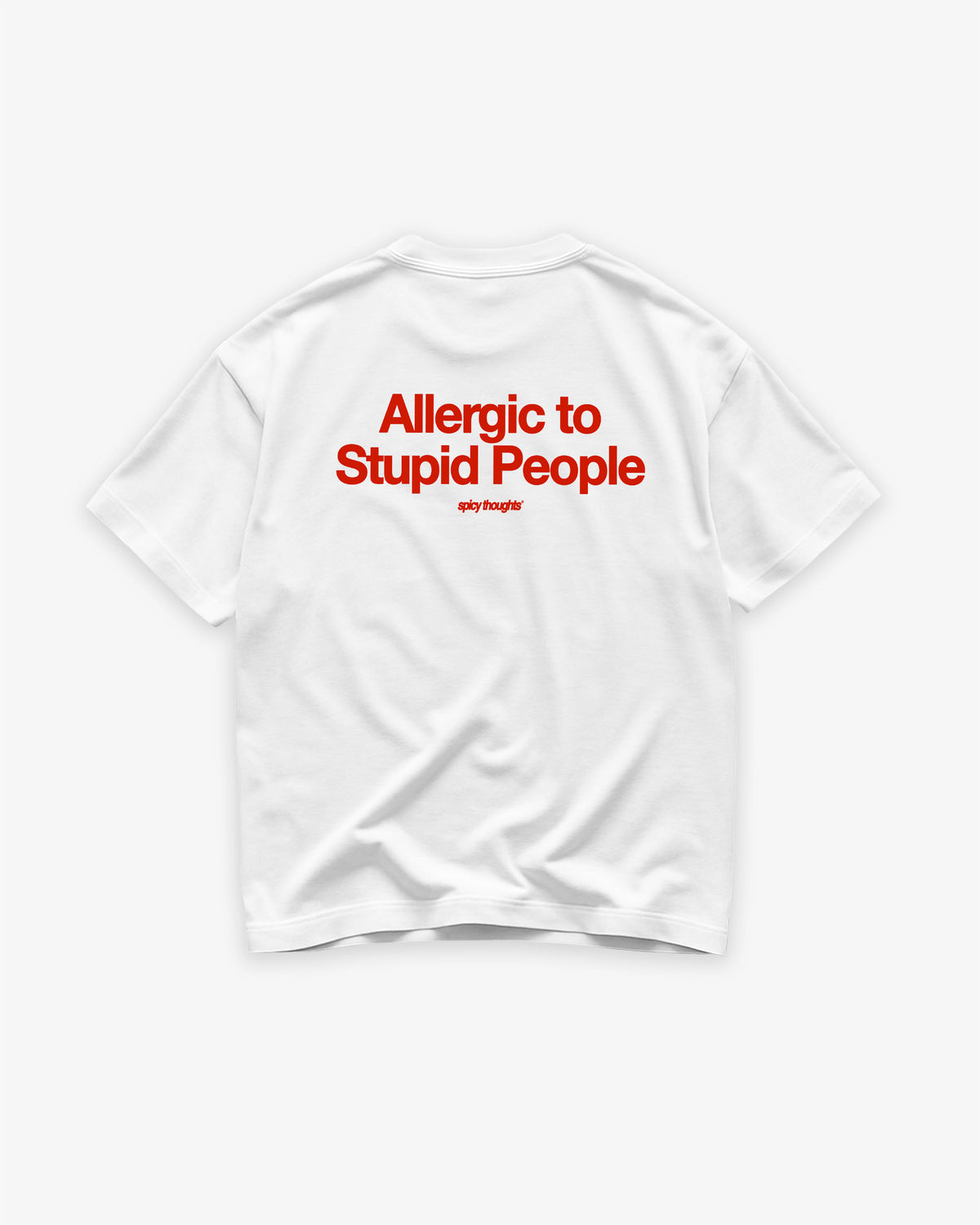 Heavy Oversized Tee - Allergic To Stupid People