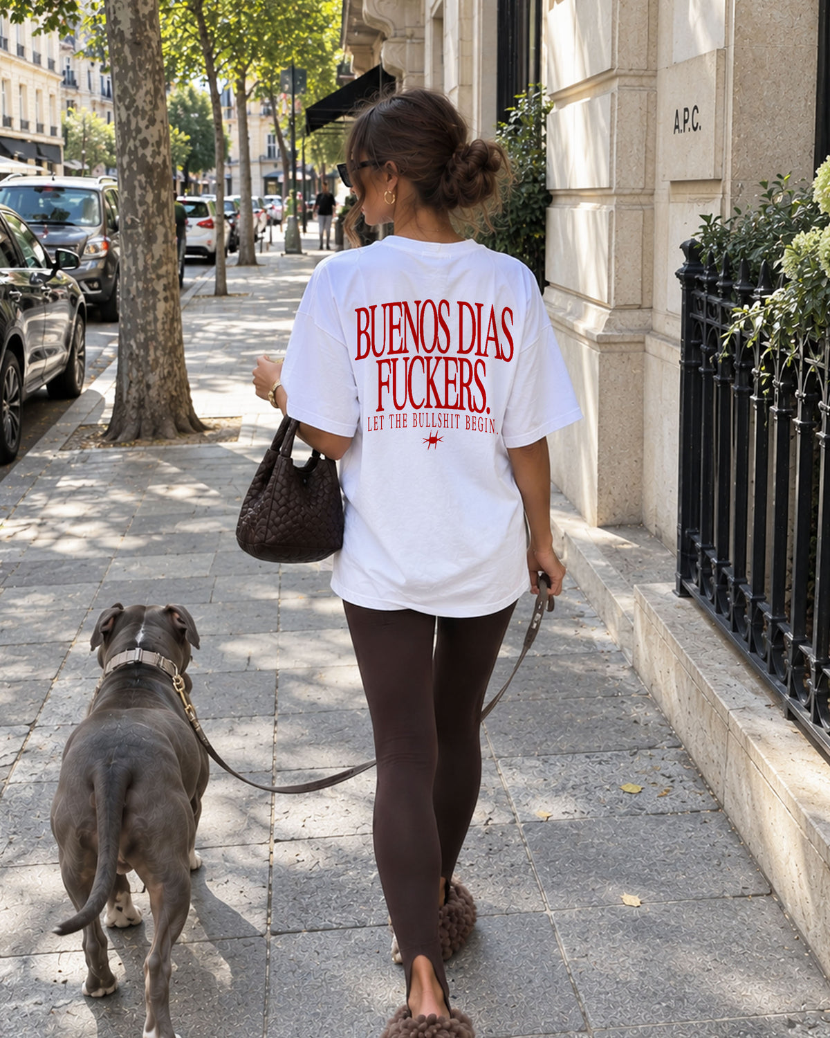 Heavy Oversized Tee - Mirror, mirror on the wall