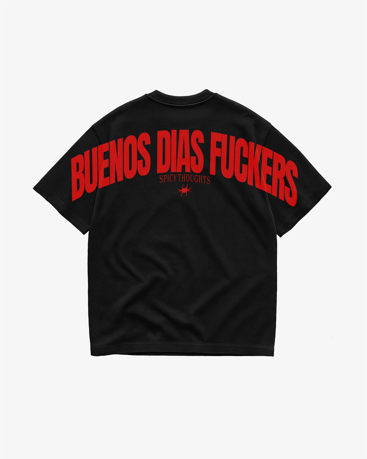 Heavy Oversized Tee - Buenos Dias Fuckers Back Arch
