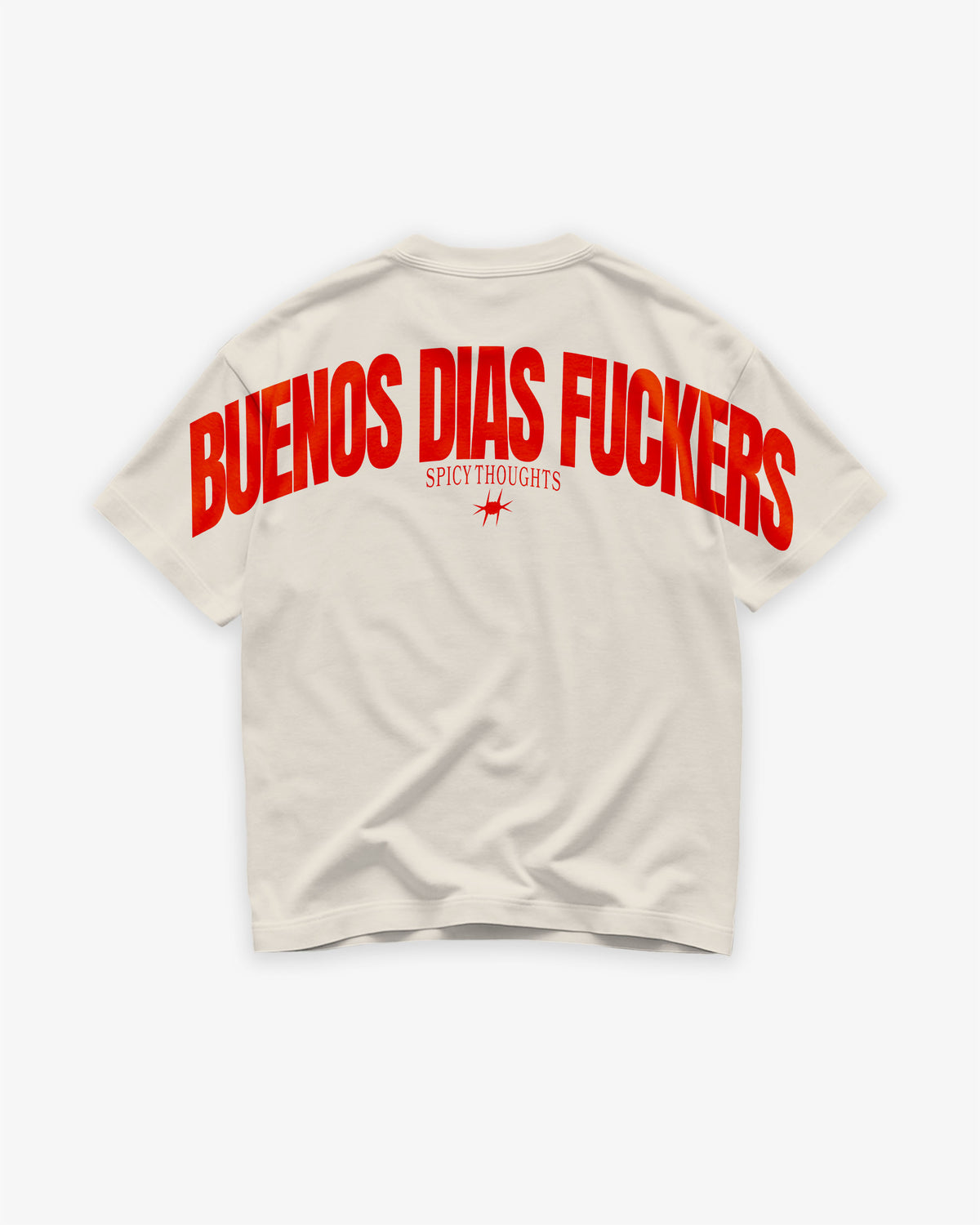 Heavy Oversized Tee - Buenos Dias Fuckers Back Arch