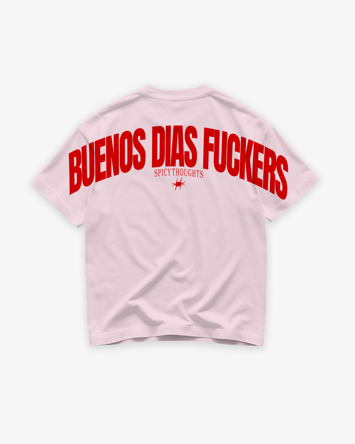 Heavy Oversized Tee - Buenos Dias Fuckers Back Arch