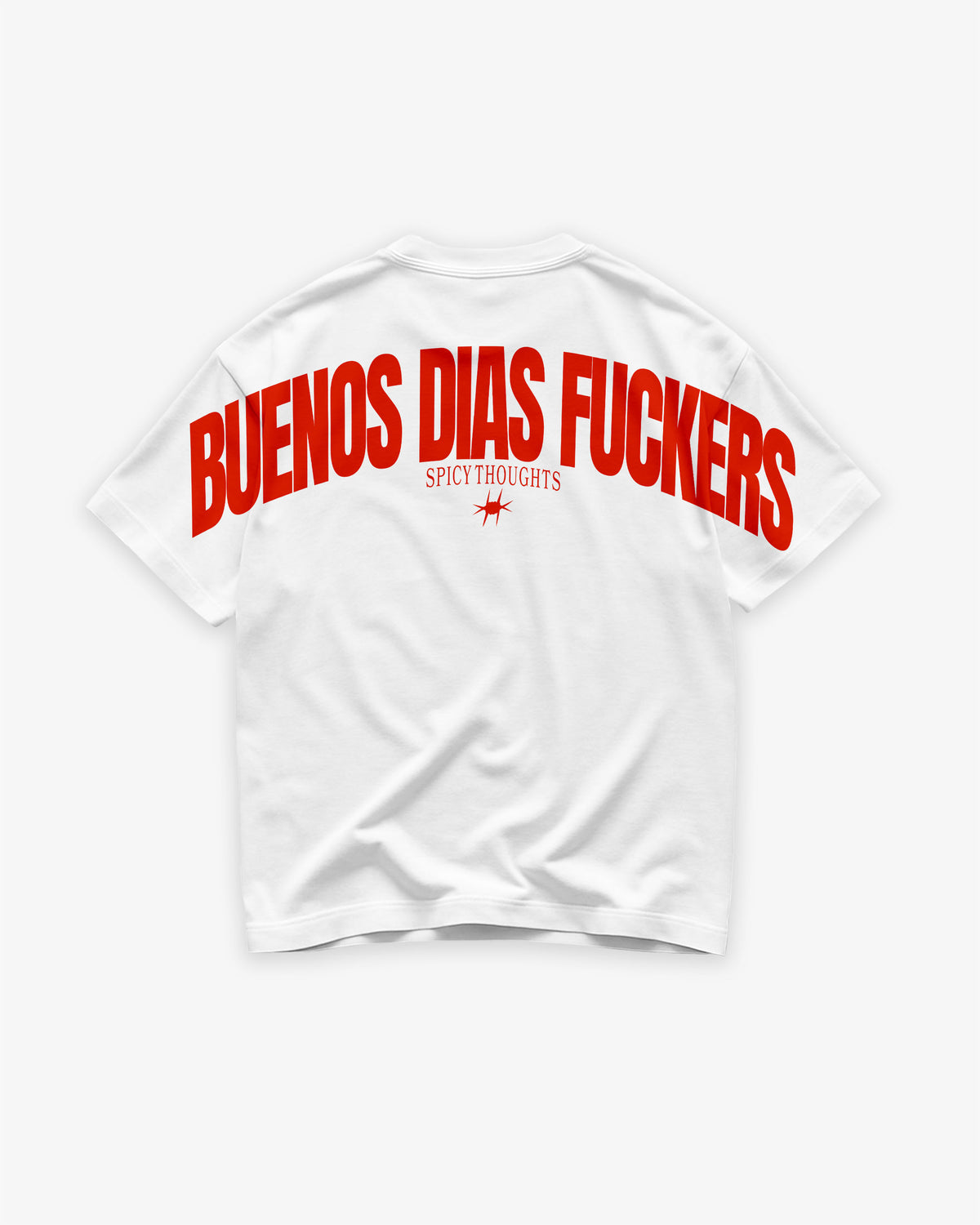 Heavy Oversized Tee - Buenos Dias Fuckers Back Arch