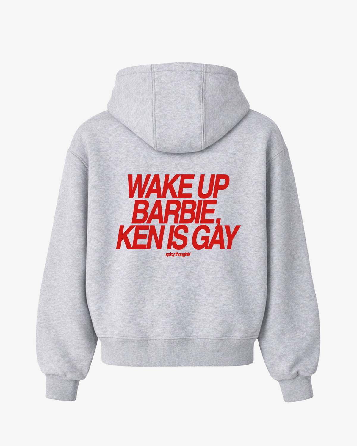 Oversized Hoodie - Wake Up Barbie, Ken Is Gay