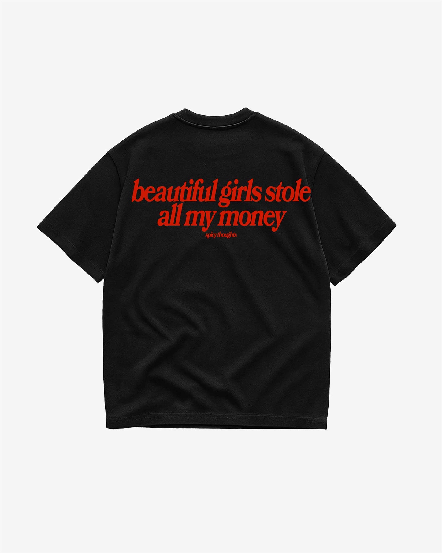 Heavy Oversized Tee - Beautiful Girls Stole All My Money
