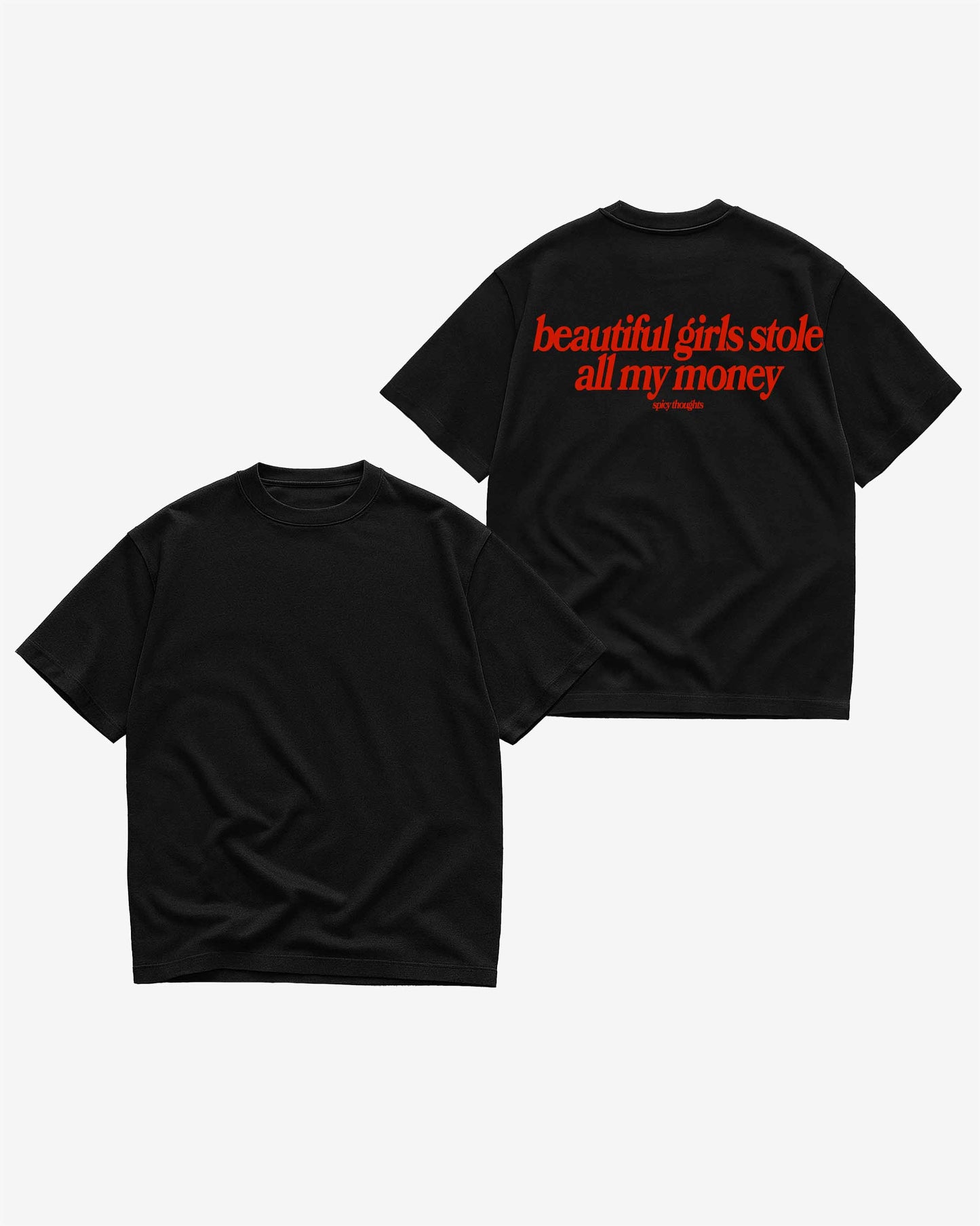Heavy Oversized Tee - Beautiful Girls Stole All My Money