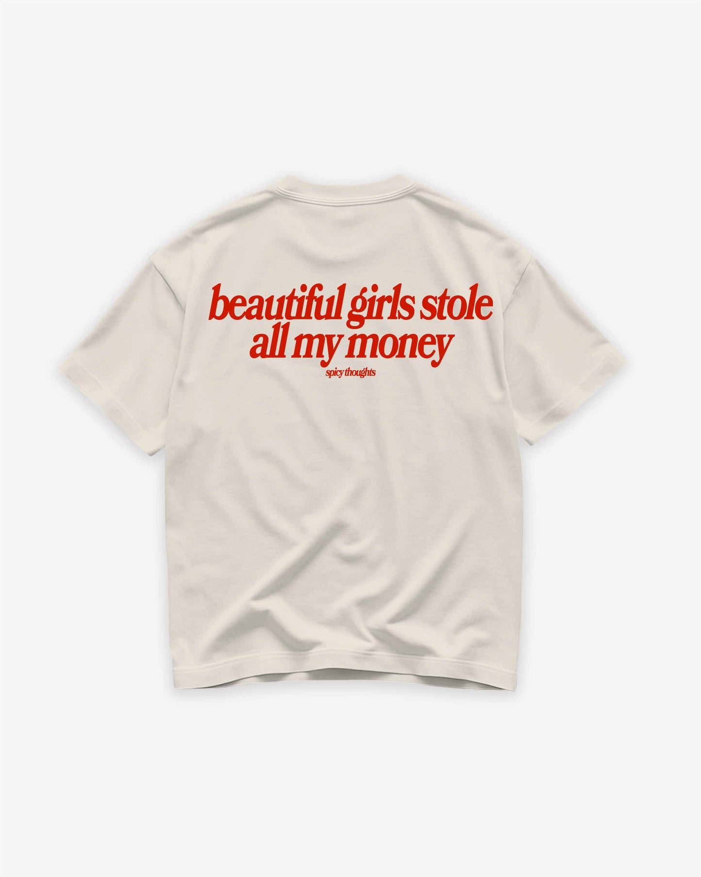 Heavy Oversized Tee - Beautiful Girls Stole All My Money