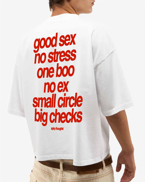 Heavy Oversized Tee - Small Circle Big Checks