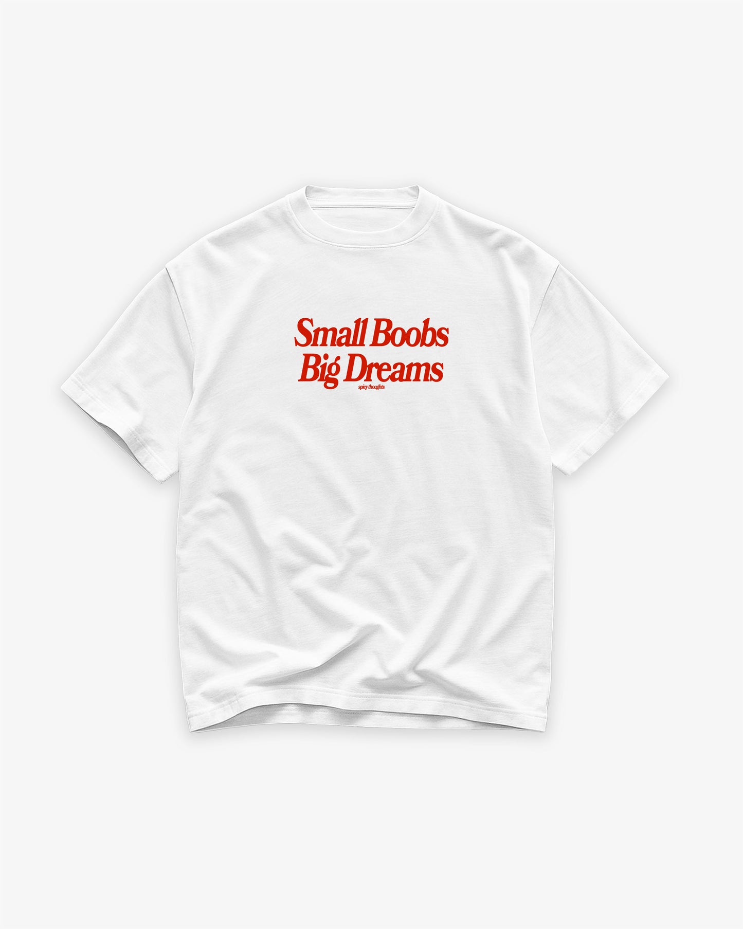 Heavy Oversized Tee White - Small Boobs, Big Dreams
